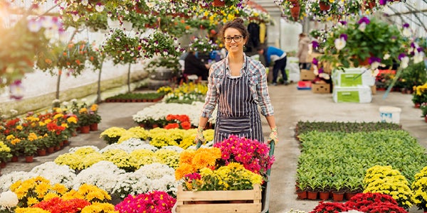 Horticulture Business